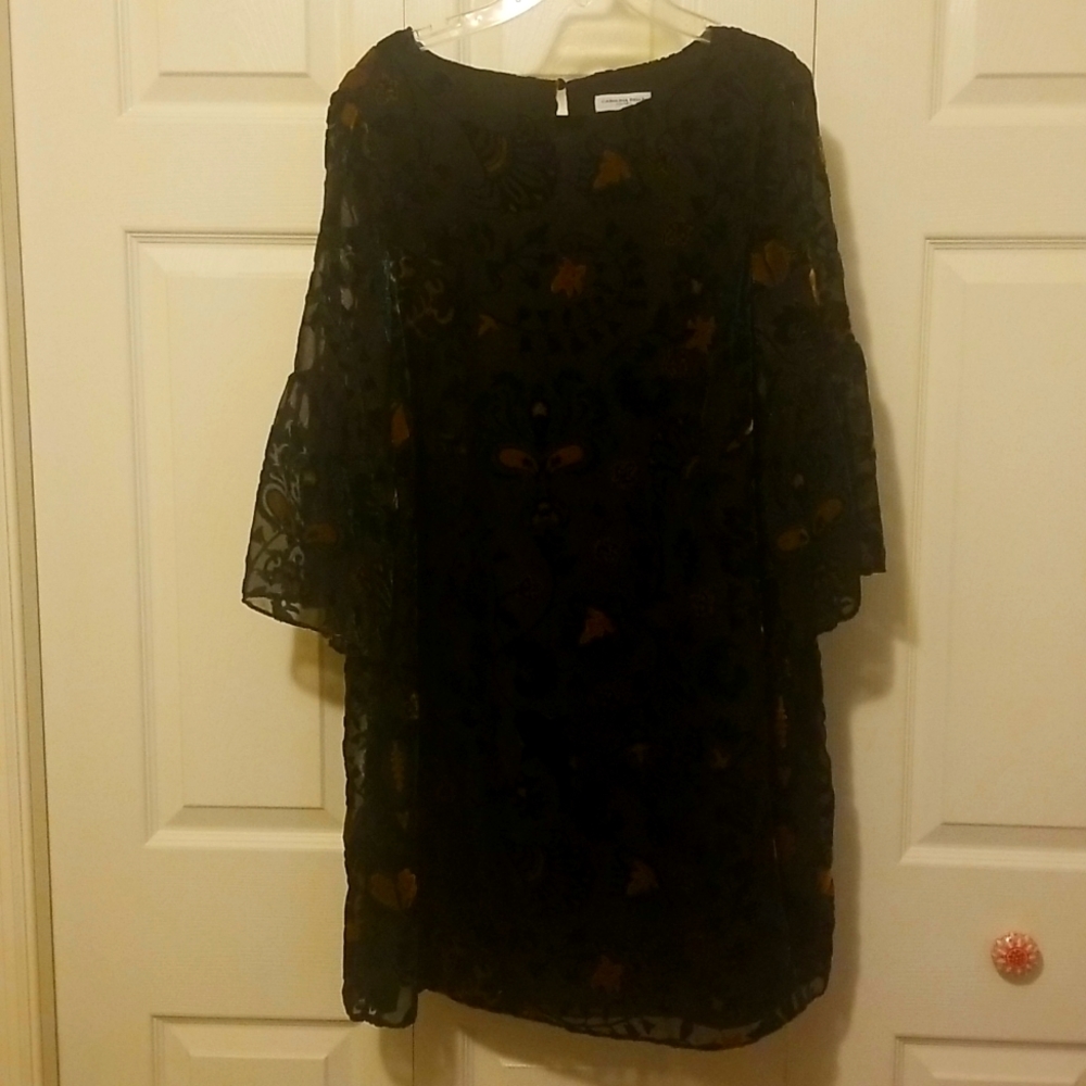 Black cutout velvet dress.